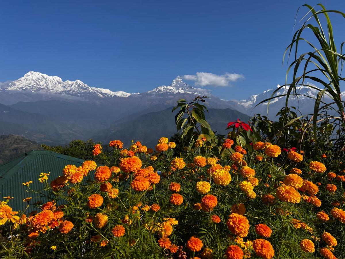 Club ES Deurali Resort Pokhara Exterior foto