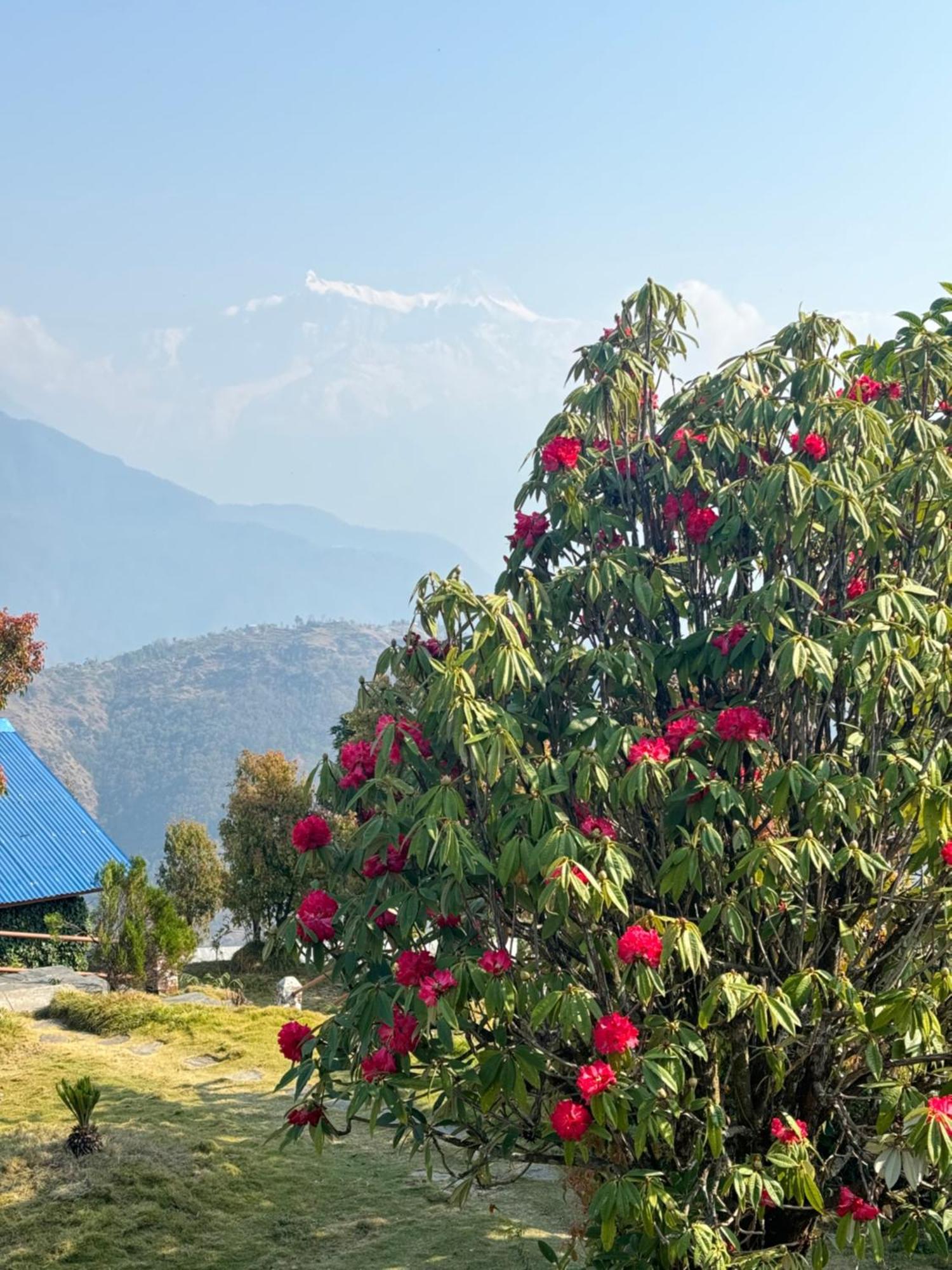 Club ES Deurali Resort Pokhara Exterior foto